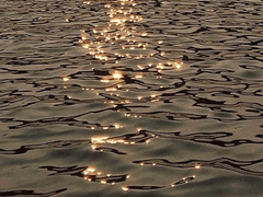 바람과 파도와 앵무