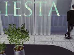 [BL]Siesta