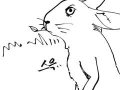 2주차 - 레비탄 포획하기