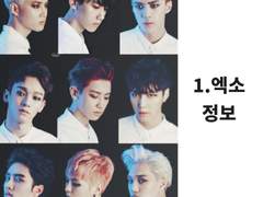 1.엑소 정보