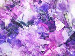 오만한 주인님_