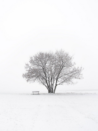 시리즈 소재 소썰 모음