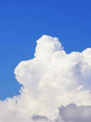 생각나는 이야기들