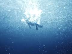 AKMU(with 아이유) - 낙하