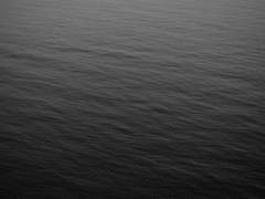 [ 버나드 / 남성 / 22 ]