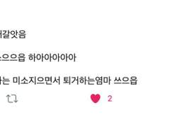 Fate / Strange Flake