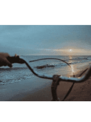 유실물보관센터