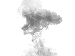 백로운 / 33 / 대한민국