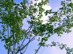 우리들만의 해피엔딩