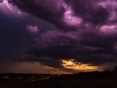 멍청이의 혼잣말