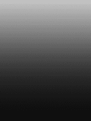 르블랑 V. 테오도어