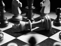 세계 고양이의 날