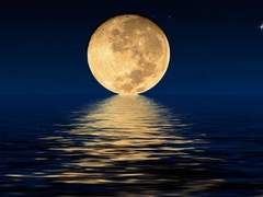 손톱달이 뜨면 웃어주세요