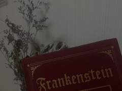 프랑켄슈타인