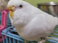 버터에게 보내는 편지