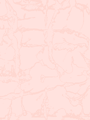 𝗜𝗡𝗦𝗧𝗔𝗚𝗥𝗔𝗠