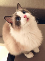 완결 소설 모음집