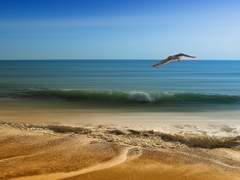 7월 트위터 짧은 소썰 백업