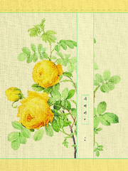 [소장본] 해바라기