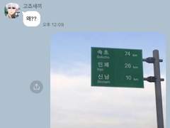 주술회전 드림 카피페 1