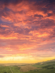 [하이큐]히나른_시한부 장편