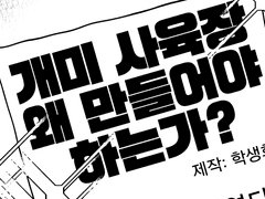 타치바나 미사