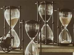 초여름밤 여우신님