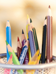 피워나는 우정꽃