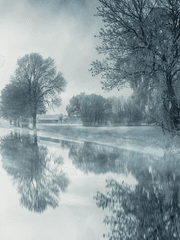 데뷔 못 하면 죽는 병 걸림