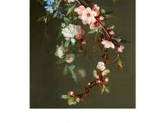 벚꽃 연작 / 반죠카스미, 토끼용