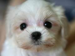 우당탕탕 수인학교 4 + TMI