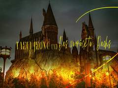 일레이 리그로우와 마법의 빗자루 자루