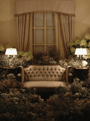 liliacea- 끝과 시작 renacer