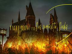 후플레이 합작_ Die Erinnerung des Anfangs von...[gelöscht]