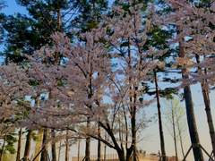 [수혁록수] 사랑일지도 몰라 02