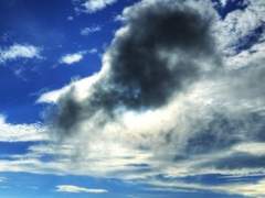 [퓨바세릴 짧글/사극AU]그 꽃이 썩어 문드러지기까지