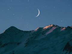 차가운 어떤 것