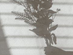 [순훈] 메디컬 02