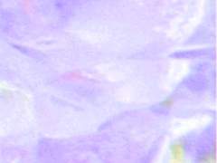 [브래네로] 열 번째 조각