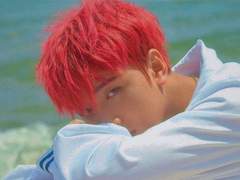 여름을 바라다 中