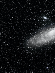 EVERY LAST DAY OF JULY