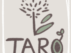 [타로] 종족설정