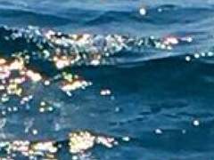 강서해 XY 3학년 수영