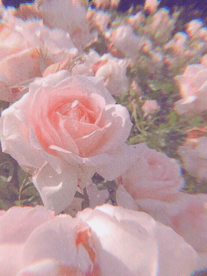 너는 내게 그런 존재였어.