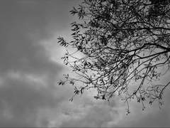 함하얀 ֍ 3학년