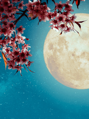 [귀멸의칼날/완결]화야, 나만의 꽃아.