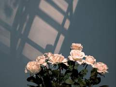 은방울 꽃의 의미를 알고 있어?