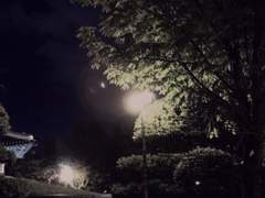 하나하나 쳐 나갔다