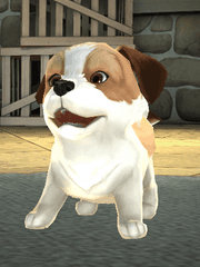 우당탕탕 블랙가에 날아온 톰리블