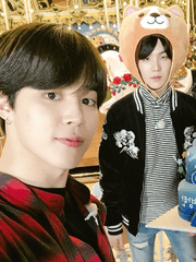 푸른 곰팡이, 삼색 고양이